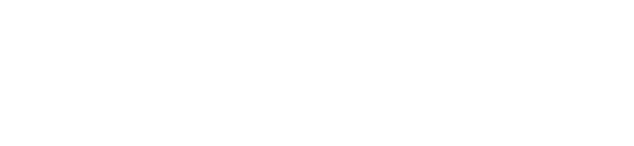 AE_Logo_Primary White